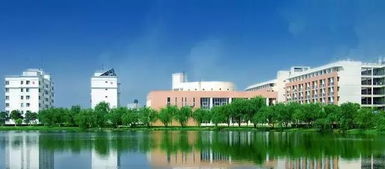 廣東這三所高職院校為何多次受國(guó)家點(diǎn)名